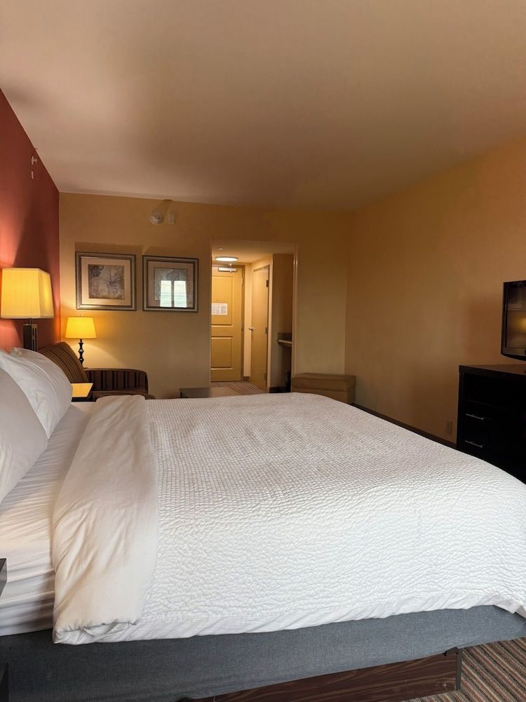 Holiday Inn Titusville-Kennedy Space Center by IHG Standard Room, 1 King Bed with Sofa bed 3