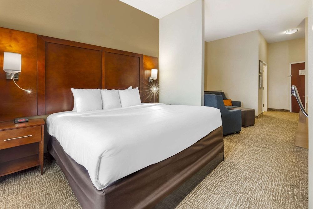 Suite, 1 King Bed with Sofa bed, Non Smoking