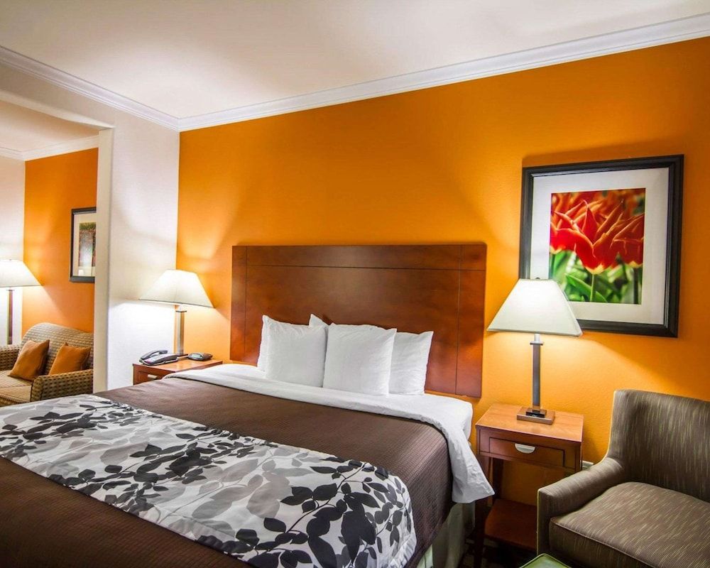 Suite, 1 King Bed with Sofa bed, Non Smoking