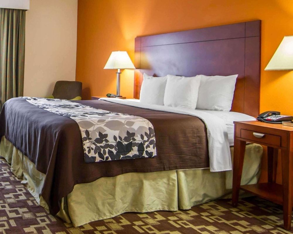 Room, 1 King Bed, Accessible, Non Smoking