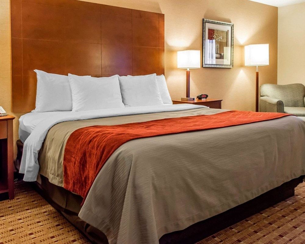 Standard Room, 1 King Bed, Non Smoking