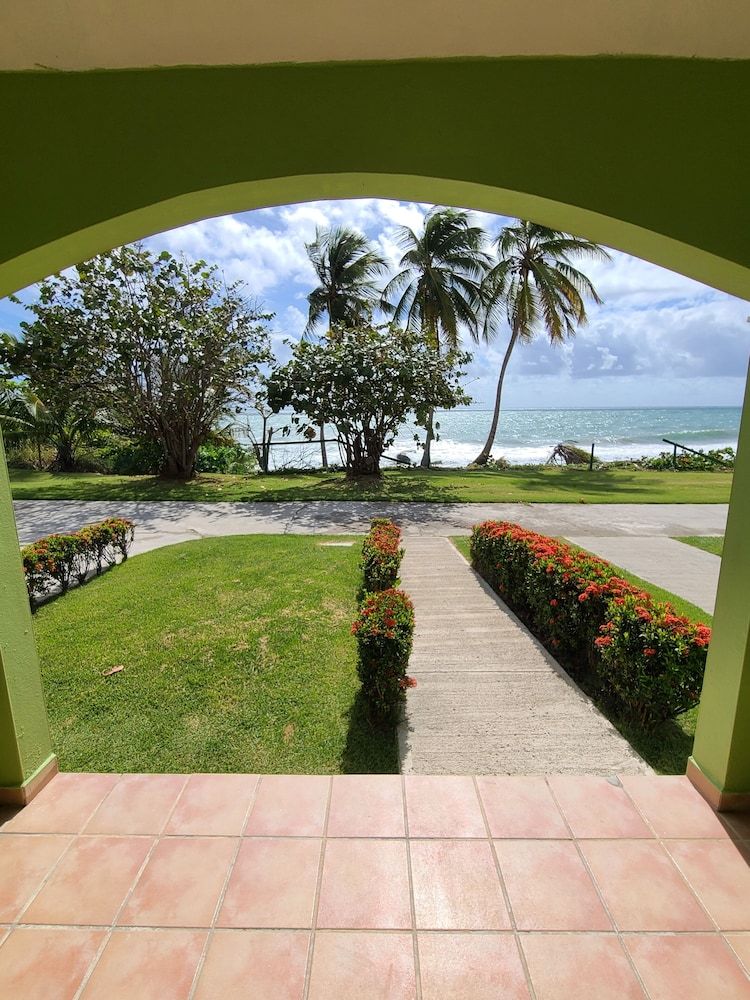 Parador MaunaCaribe Standard Room, 2 Double Beds 3