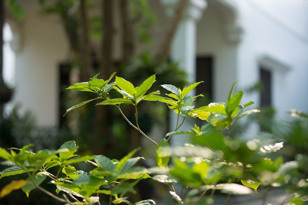 undefined Sonalong Boutique Village & Resort 5