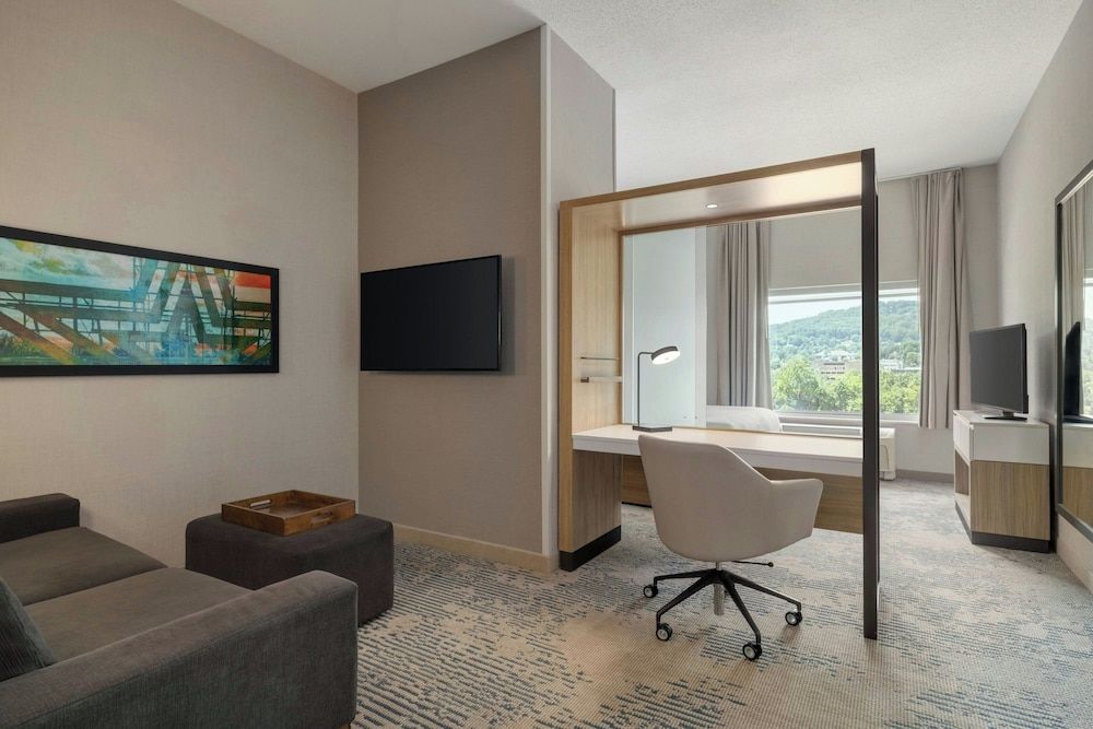 Suite, 1 King Bed with Sofa bed, Non Smoking