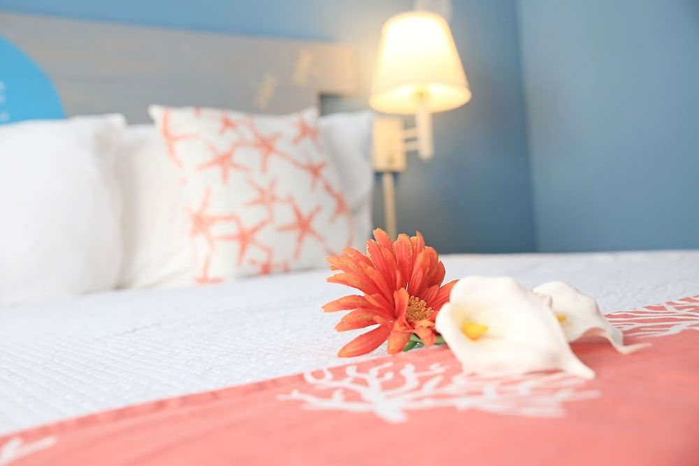 Hideaways Exuma Deluxe Cottage, 1 King Bed, Garden View, Beachside 2