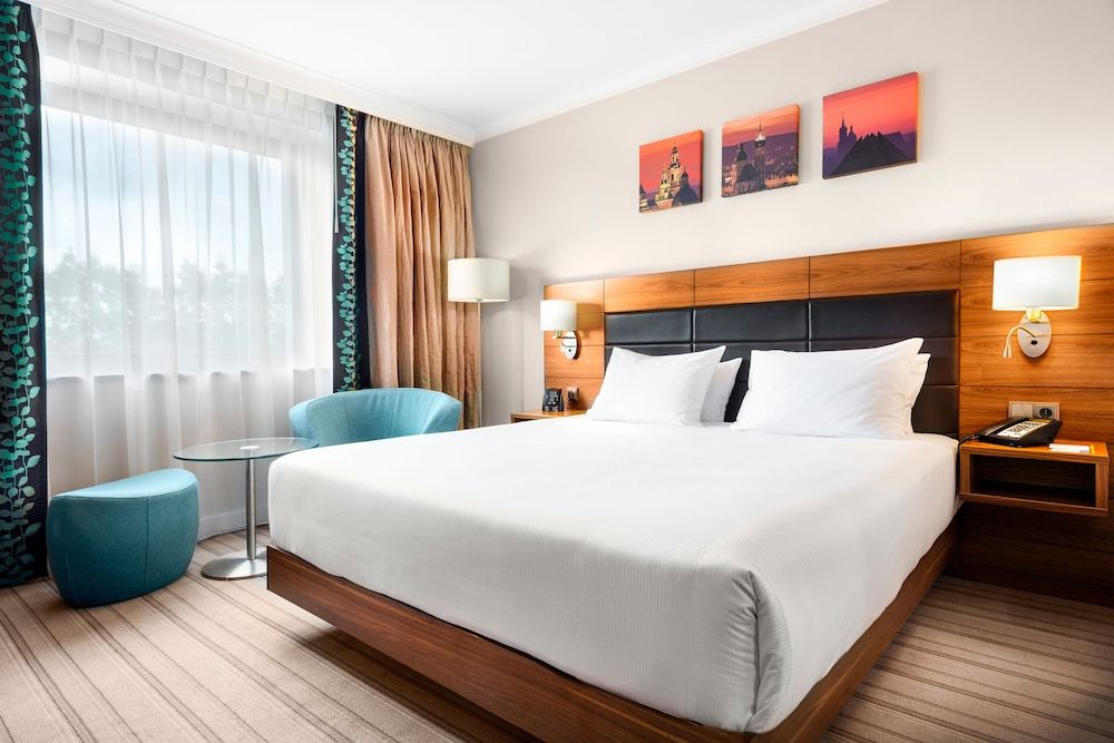 Room, 1 King Bed