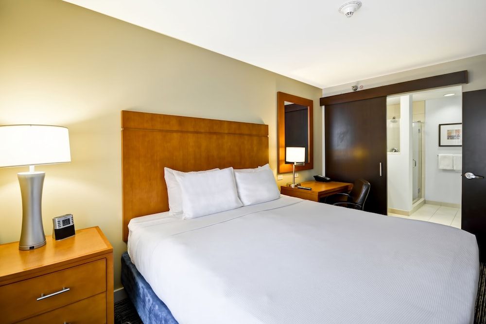 Studio Suite, 1 King Bed with Sofa bed