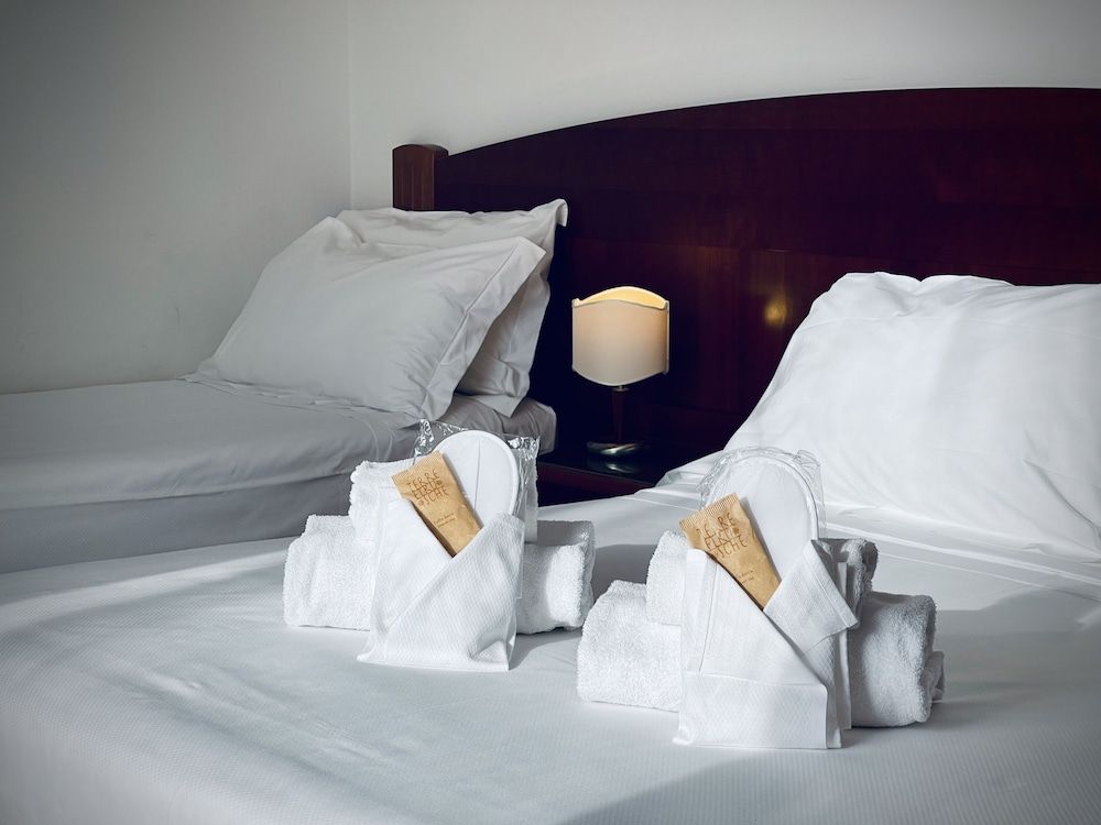 Hotel Hermitage Basic Triple Room 3