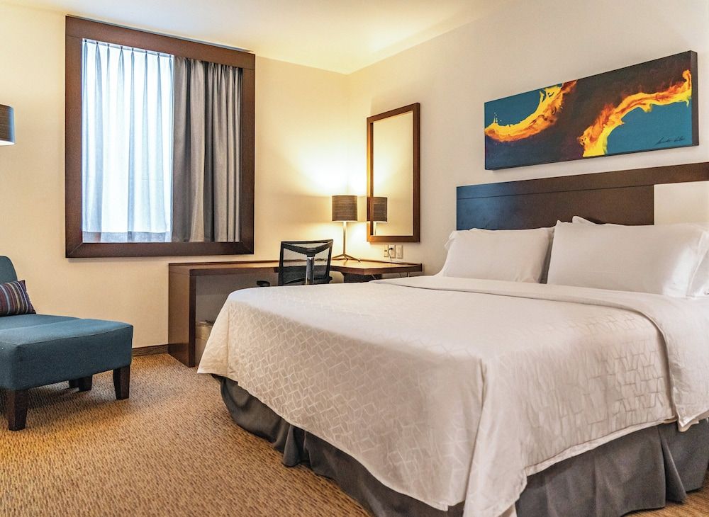 Suite, 1 Bedroom