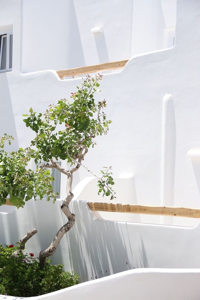 undefined Cavo Bianco Boutique Hotel & Spa 8