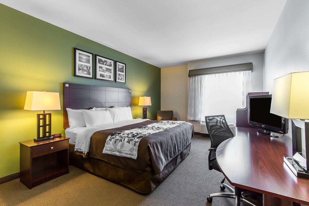 Room, 1 King Bed, Accessible, Non Smoking
