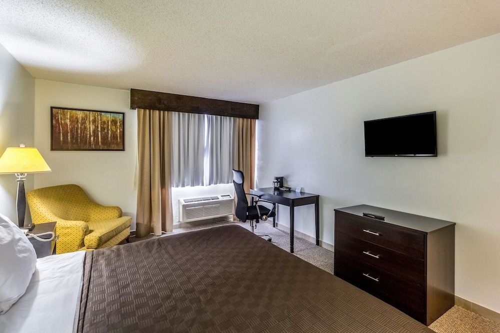 Standard Room, 1 King Bed, Non Smoking