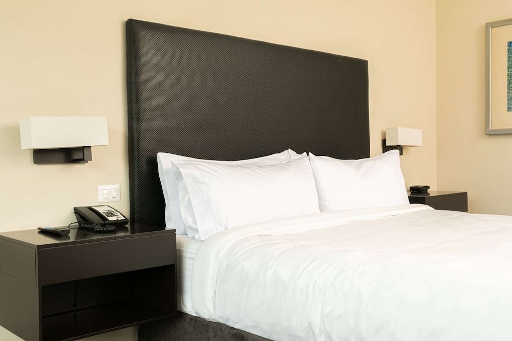 Room, 1 King Bed, Accessible (Roll-In Shower)