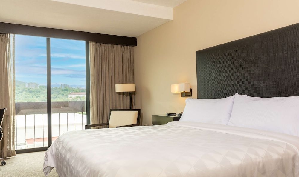 Room, 1 King Bed, Accessible (Roll-In Shower)