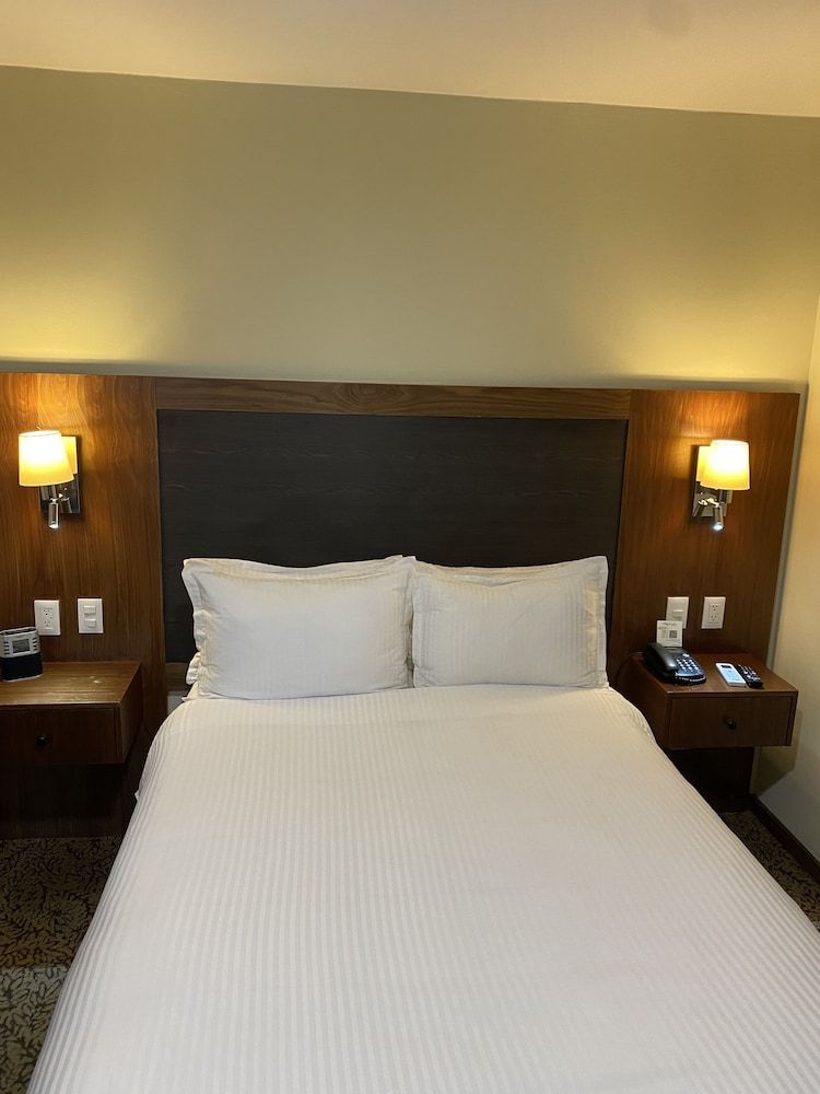 undefined Wyndham Garden Mexico City Polanco 3