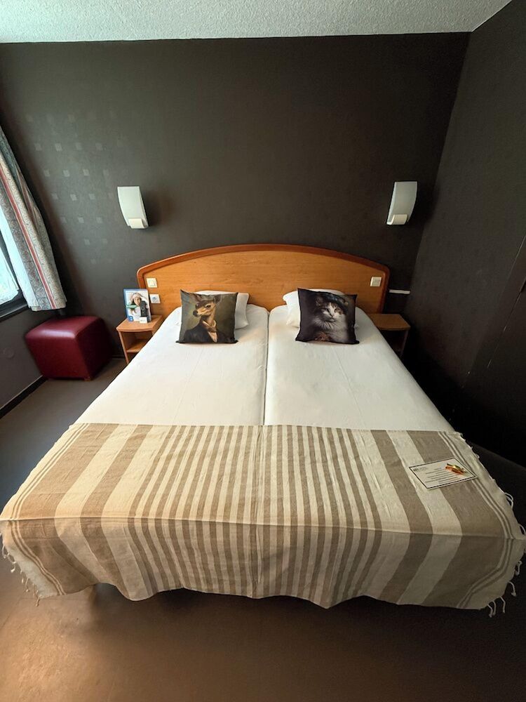Brit Hotel Besançon L'Horloge Comfort Twin Room 7