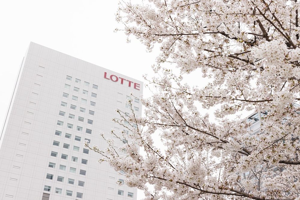 undefined Lotte City Hotel Kinshicho 3