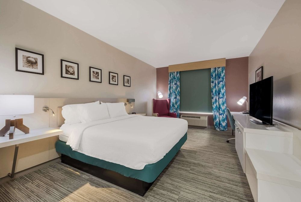 Room, 1 King Bed