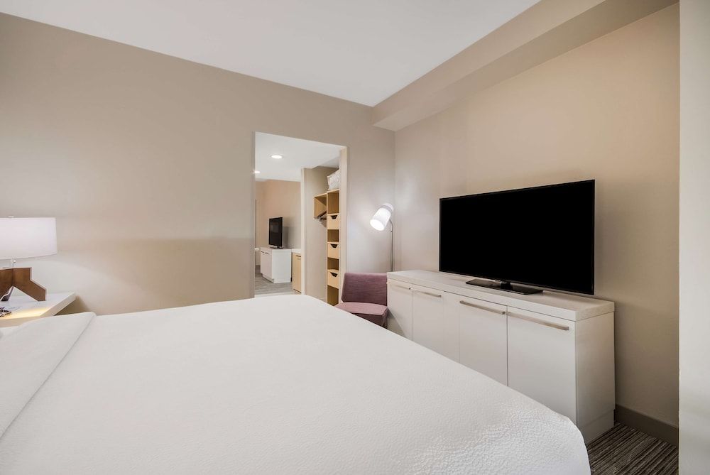 Room, 1 King Bed with Sofa bed
