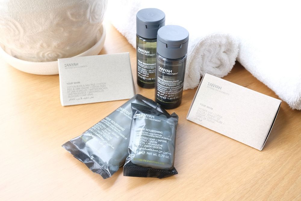 Regency Inn Comfort Single Room, 1 Double Bed 16