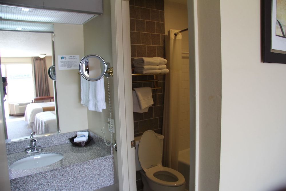 Regency Inn Comfort Single Room, 1 Double Bed 2