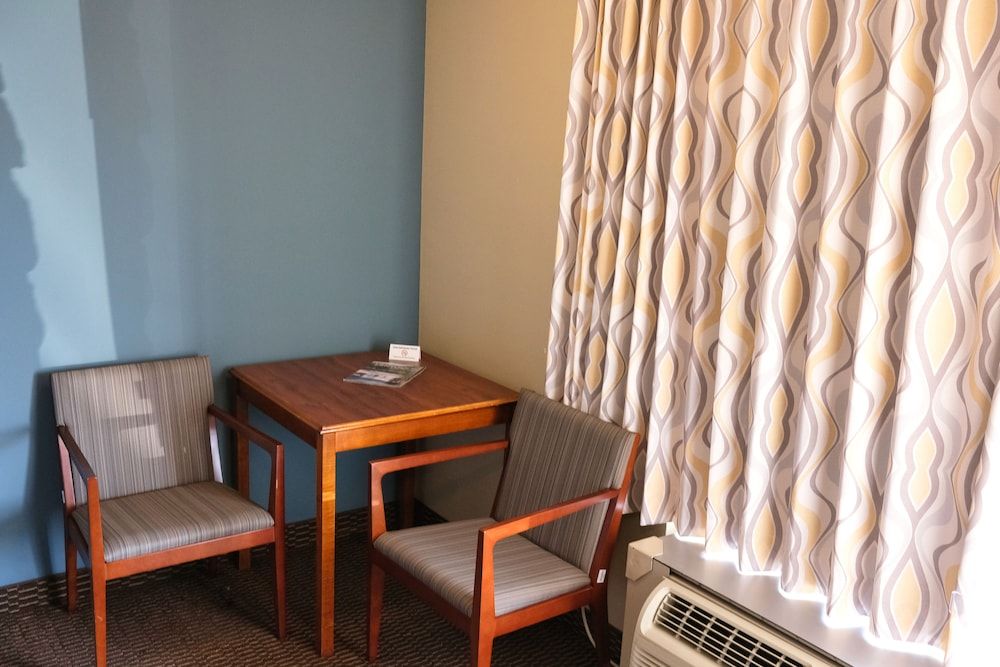 Regency Inn Comfort Single Room, 1 Double Bed 13