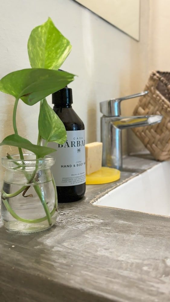 Hotel Casa Bárbara Holbox Junior Room, 2 Double Beds 8