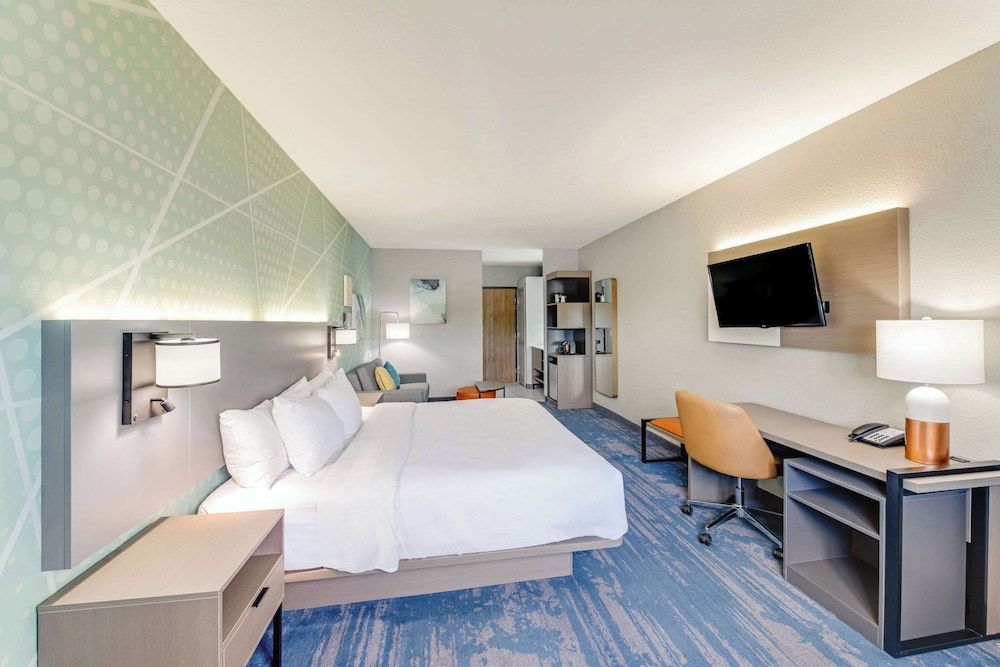 Suite, 1 King Bed with Sofa bed, Non Smoking