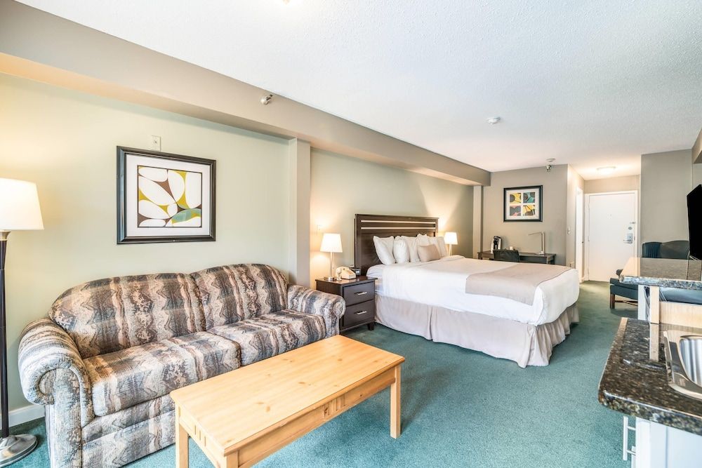 Standard Room, 1 King Bed with Sofa bed, Non Smoking