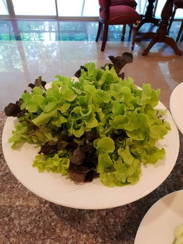 undefined Pattaya Hiso Hotel 7