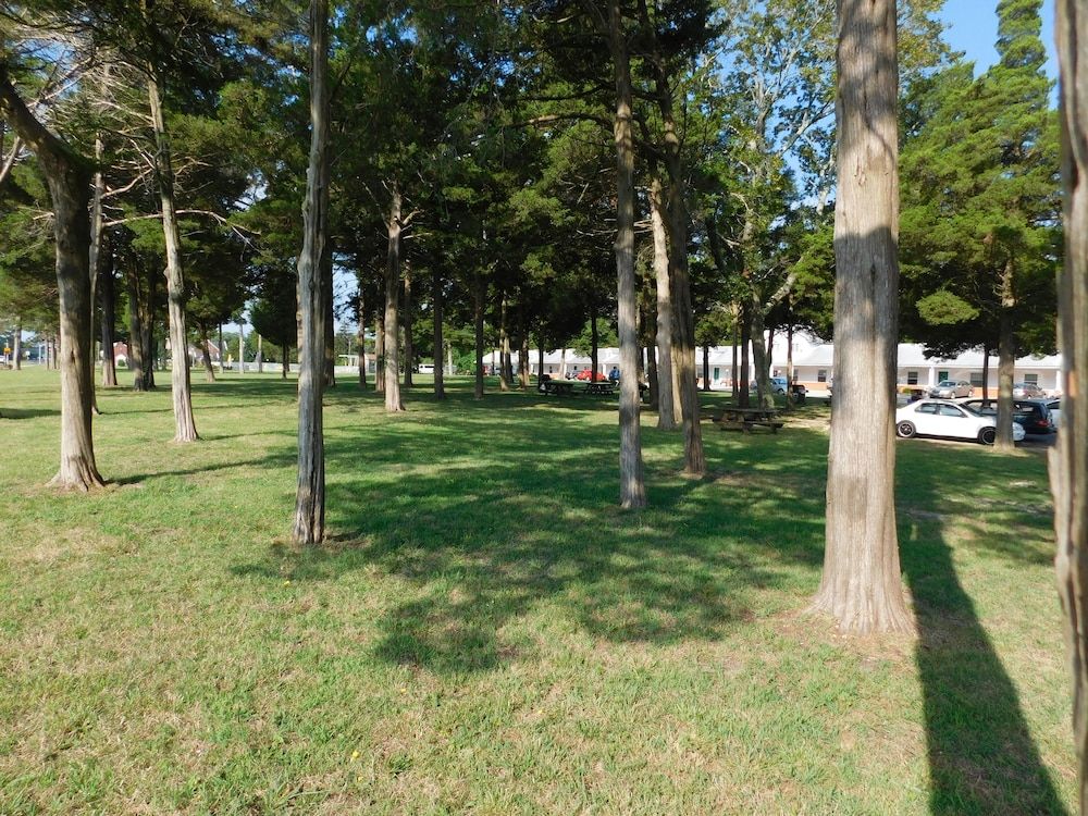 Children's Play Area