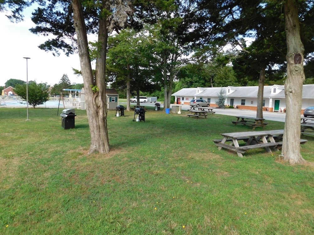 Children's Play Area