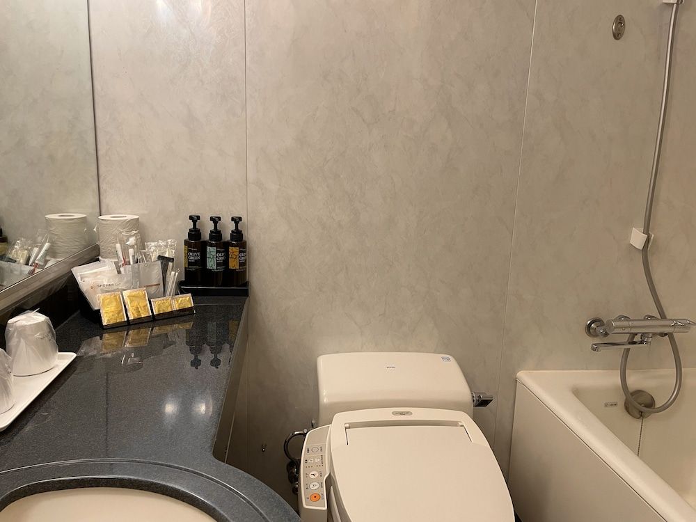 Bayside Hotel Azur Takeshiba Hamamatsucho Executive Twin Room, Non Smoking, City View 5