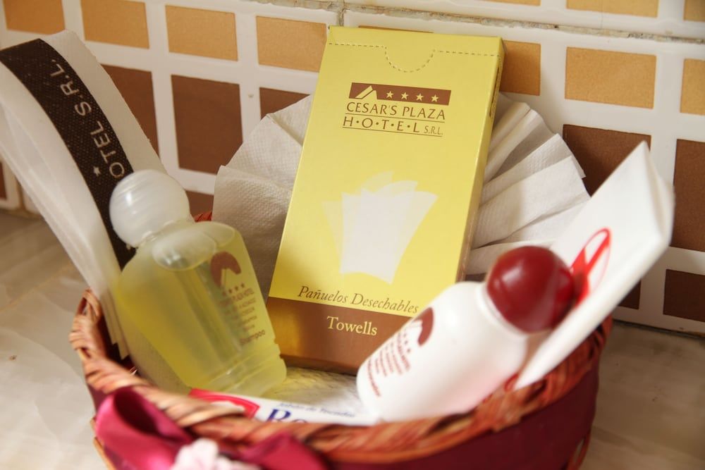 Cesars Plaza Hotel Single Room 4