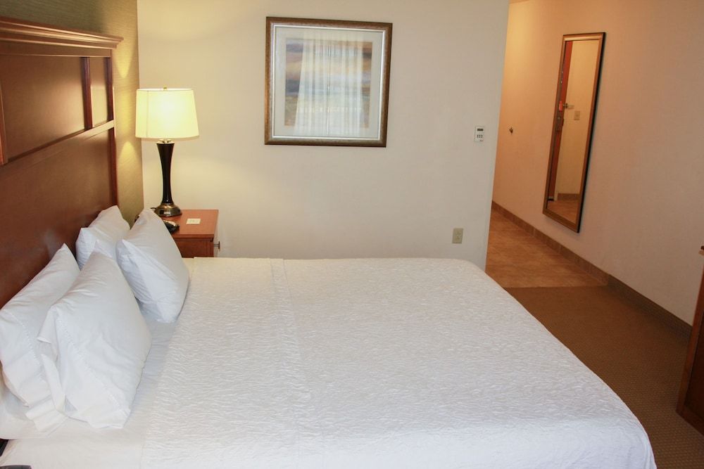 Room, 1 King Bed, Accessible, Non Smoking