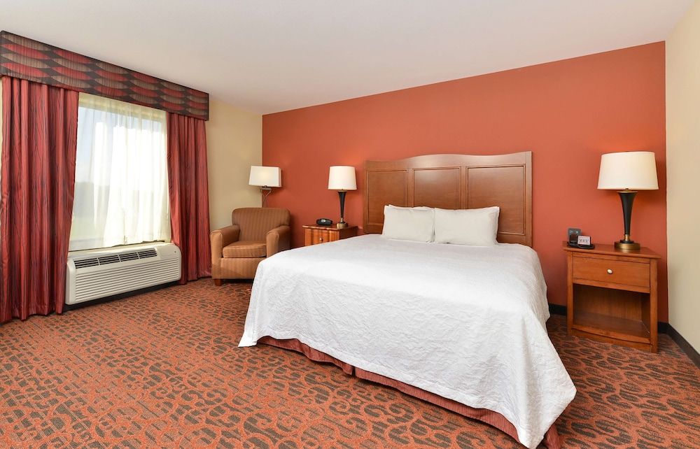 Room, 1 King Bed with Sofa bed