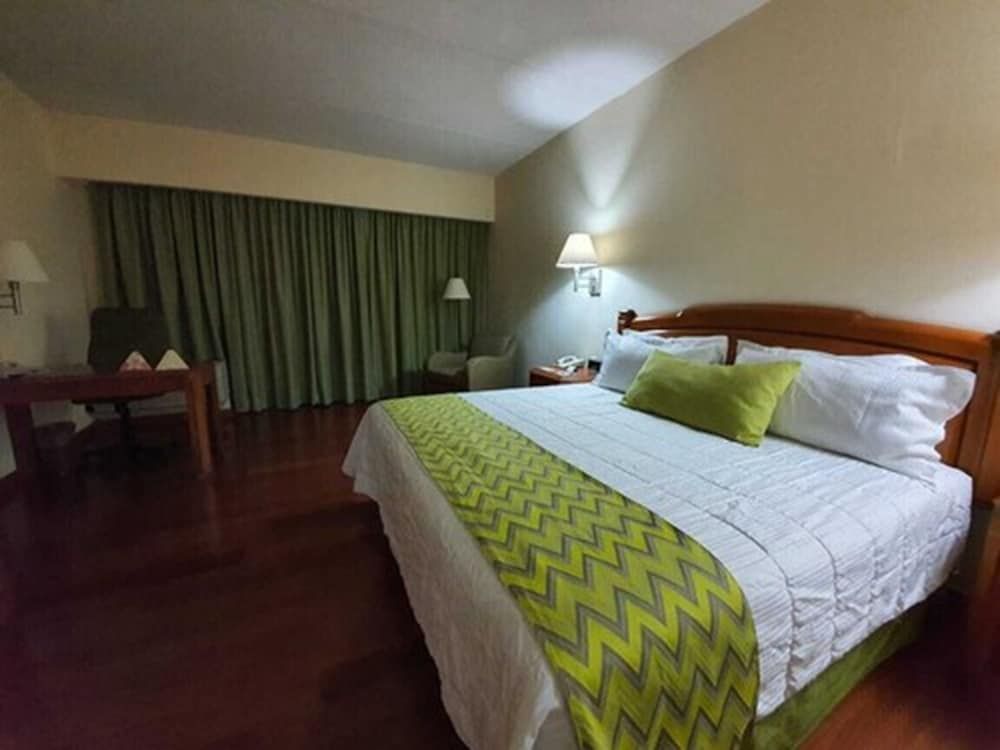 Double Room, 1 King Bed