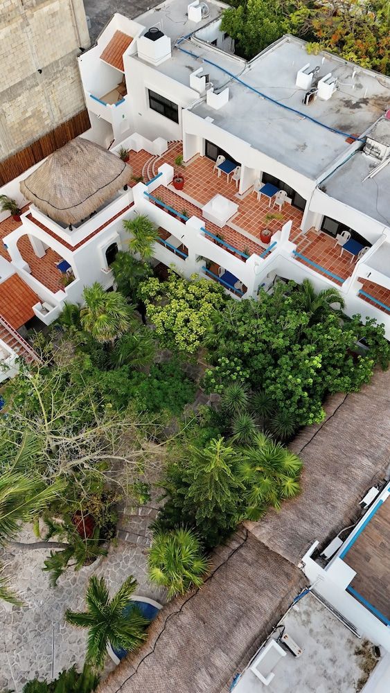 undefined Pelicano Inn Playa del Carmen - Beachfront Hotel 5