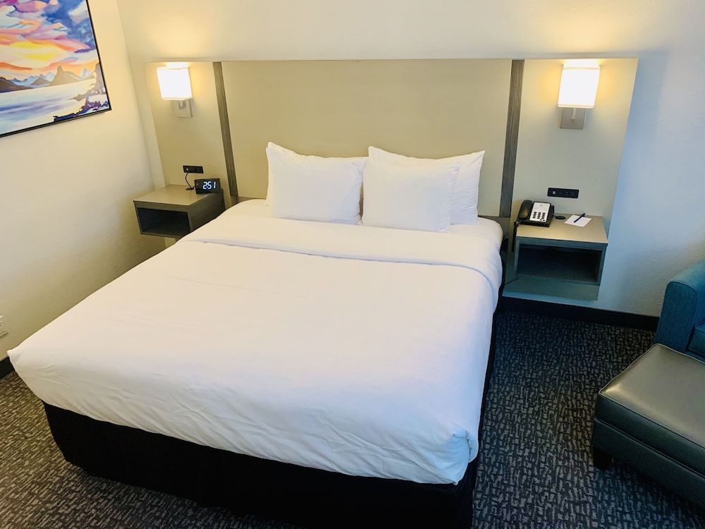 Comfort Inn San Diego Miramar Standard Room, 1 King Bed, Non Smoking 2