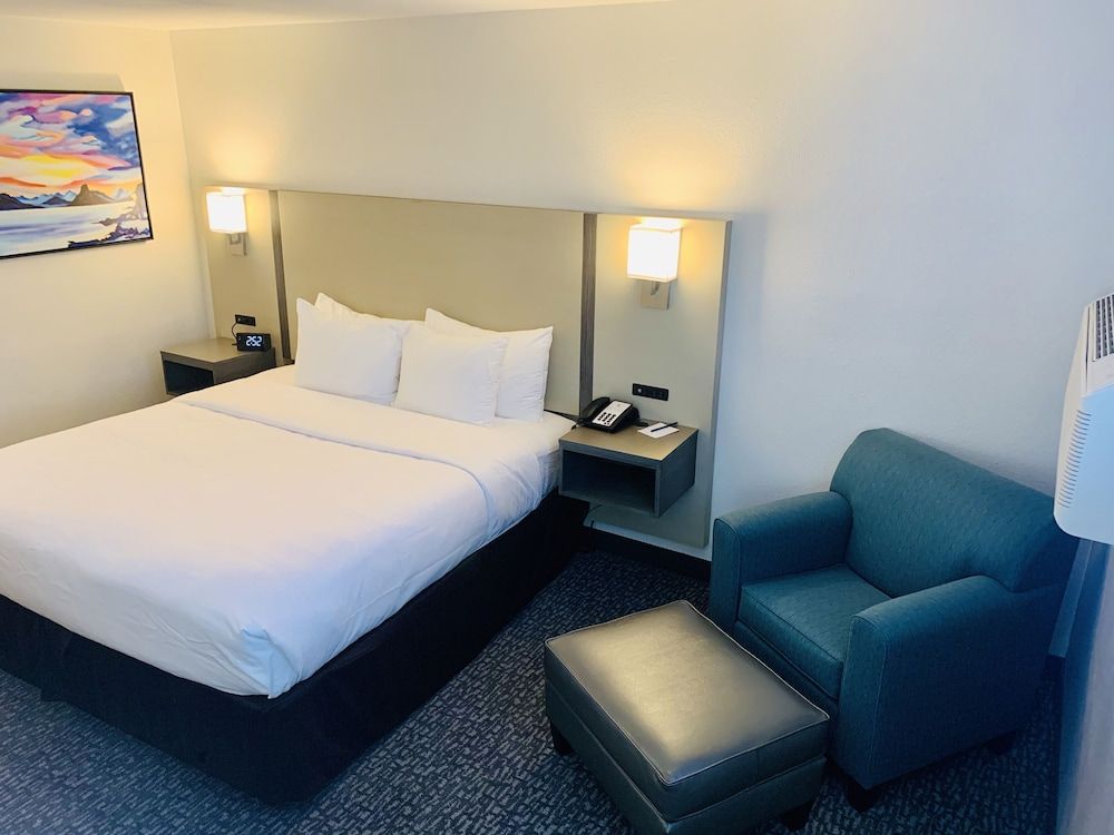 Larger Room, 1 King Bed, Wet Bar, Non Smoking