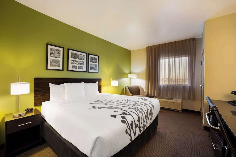 Suite, 1 King Bed, Accessible
