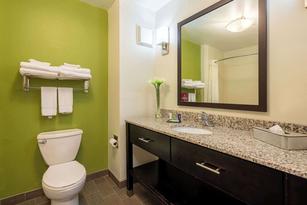 Room, 1 King Bed, Accessible, Non Smoking