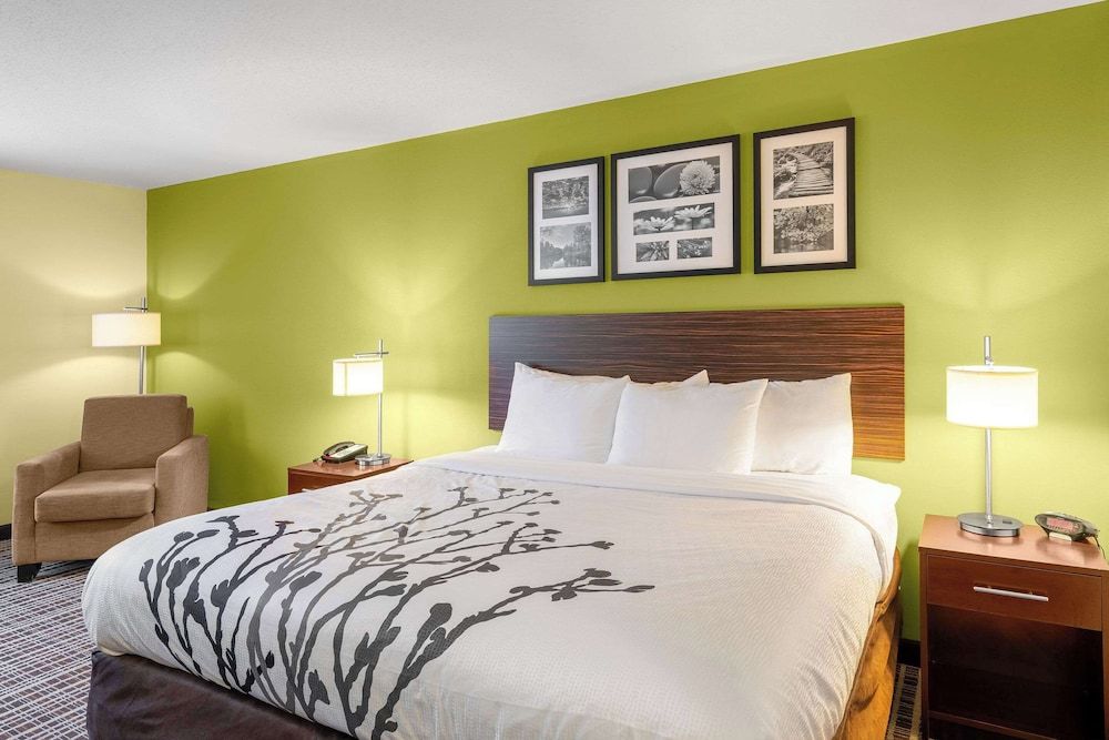 Room, 1 King Bed, Accessible, Non Smoking