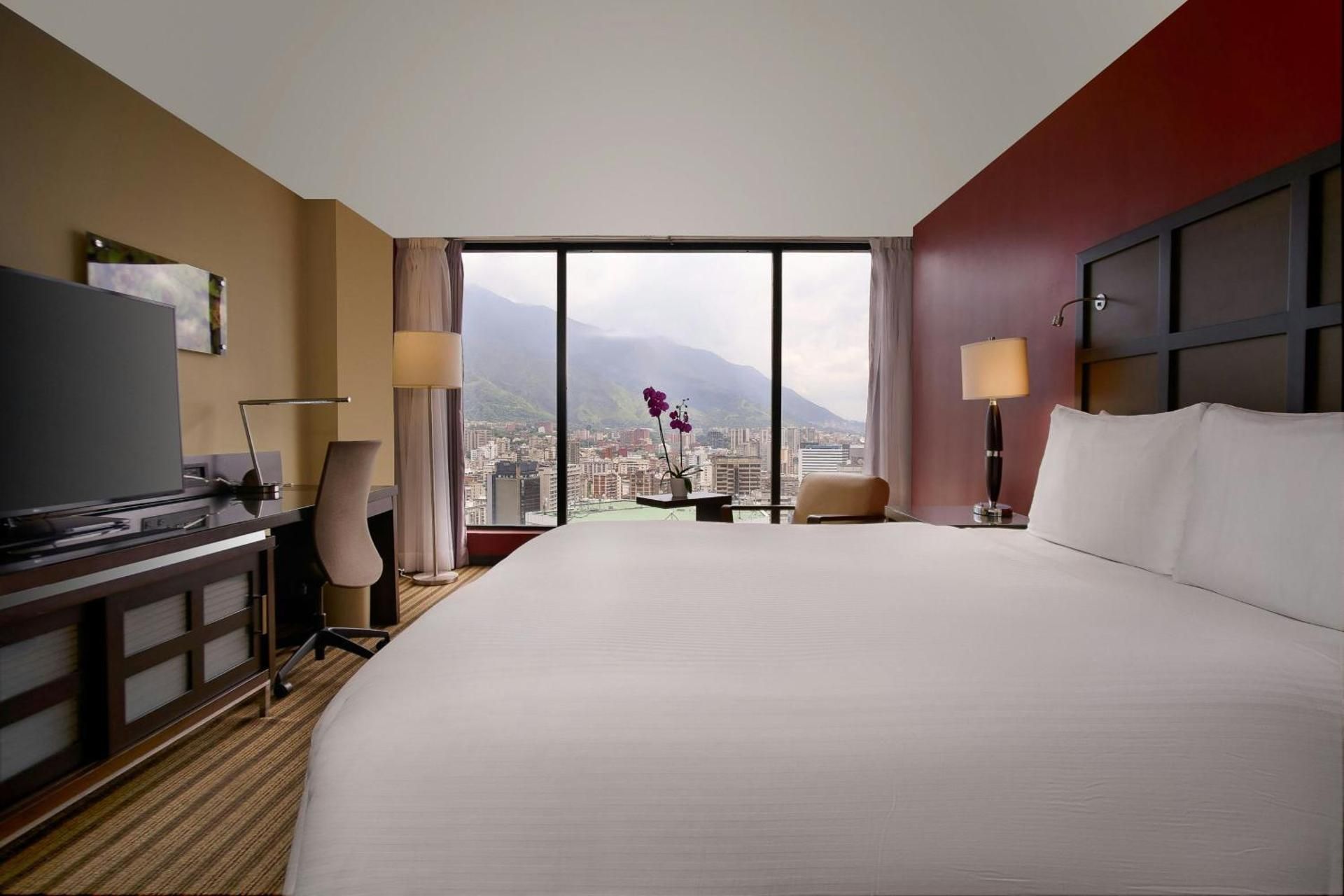 Guest room, 1 King, City view