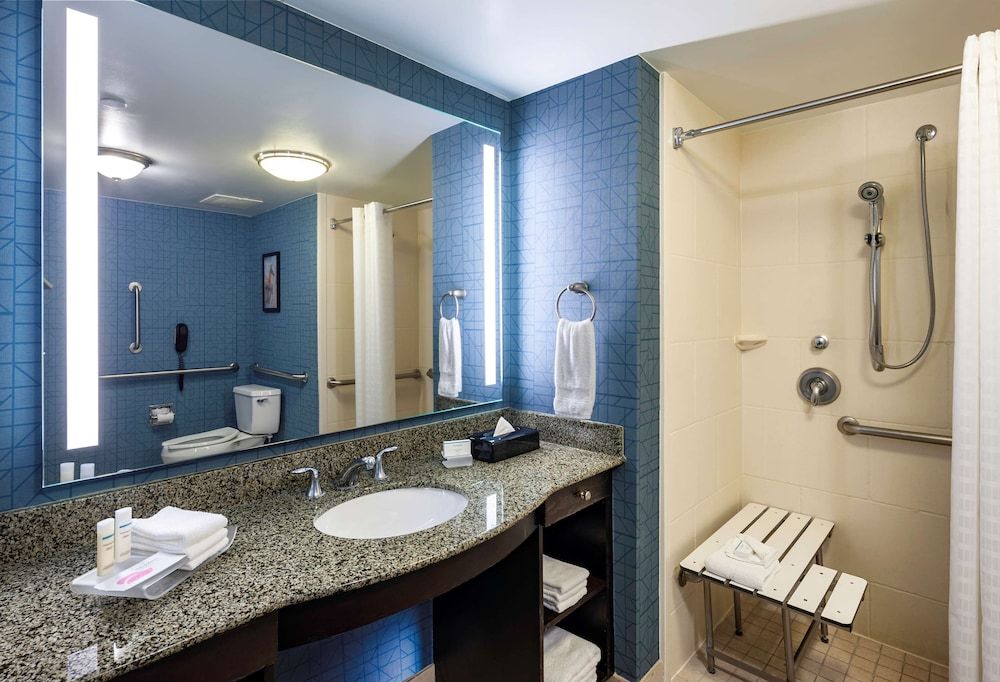 Studio, 1 King Bed, Accessible (Roll-in Shower)