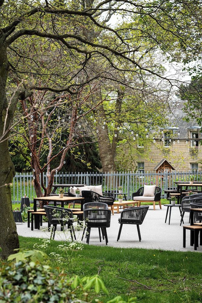 undefined The Scholar 7