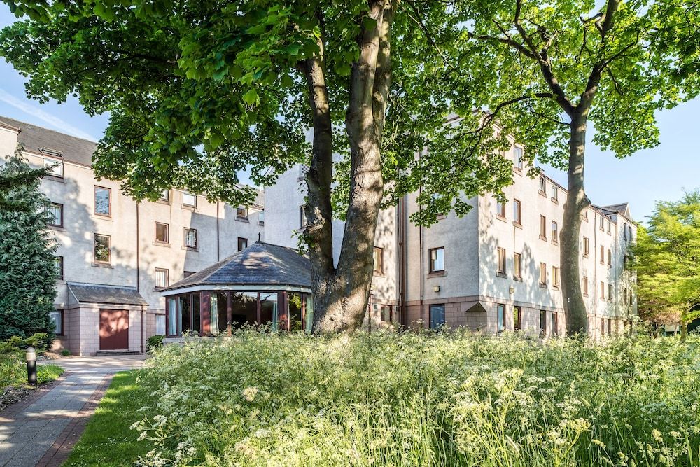 undefined The Scholar 2