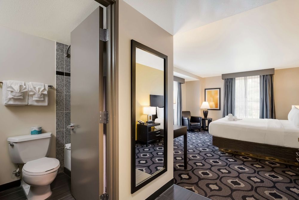 Room, 1 King Bed, Non Smoking