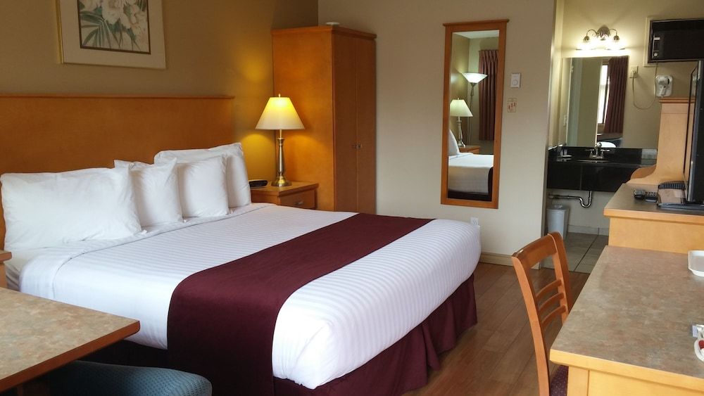 Room, 1 King Bed, Non Smoking