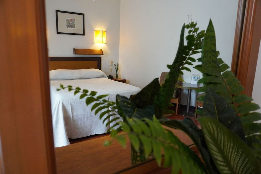 Hotel Ilebal Cuernavaca Centro - un lugar con encanto Standard Room 5